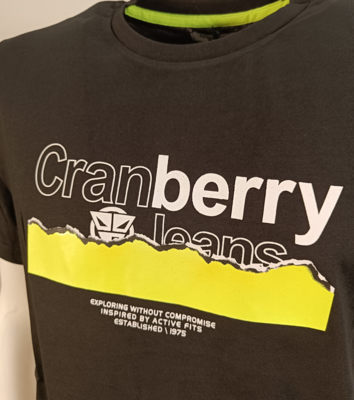 TSHIRT UOMO M/M CB631017 Ingrosso Abbigliamento Uomo Tellini S.r.l.